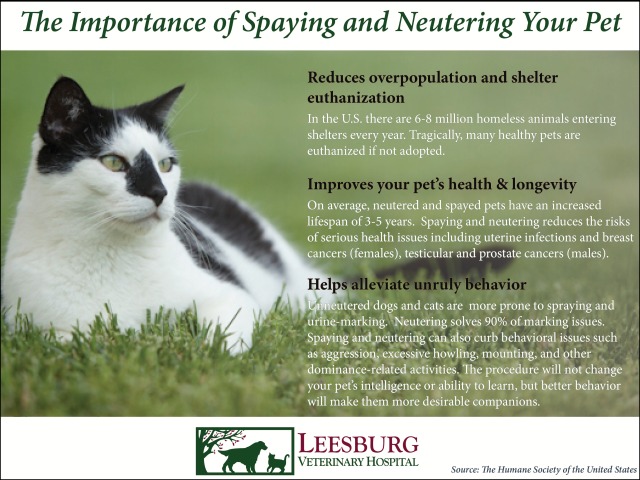 Benefits of spaying and neutering
