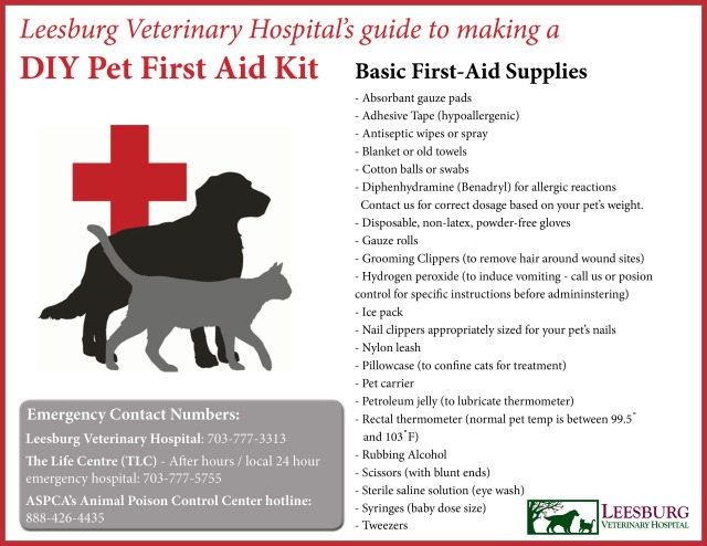 Pet First Aid Kit Infographic_high res