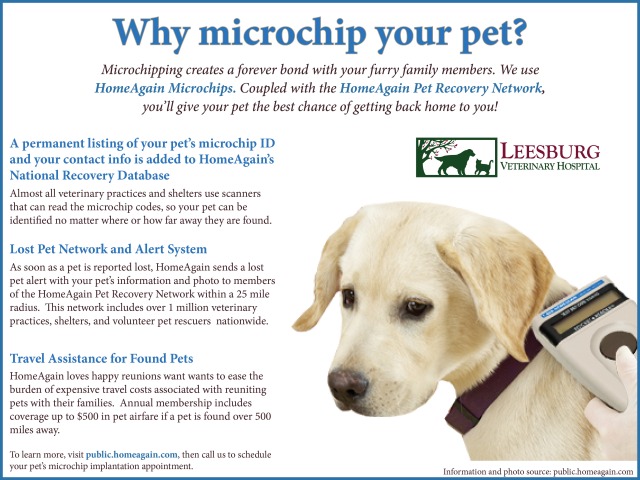 Why Microchip-for web